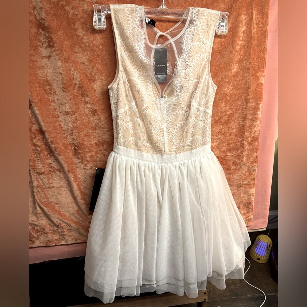 NWT Bebe peachy cream lace and tulle dress with ribbon waistband